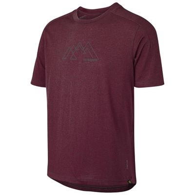 Imagen 1 del producto Polera IXS Infantil JR Flow Tech Getoutandplay Raisin KL