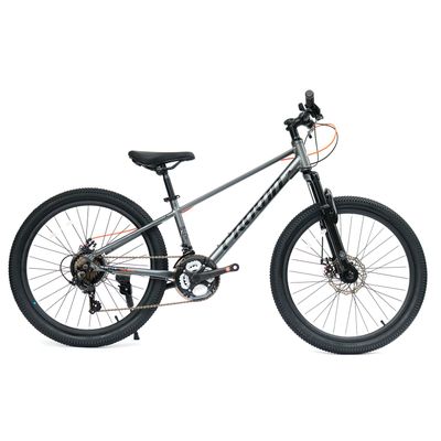 Bicicleta Royal Baby Crown MTB JR 21V 24"" Aluminio Gris