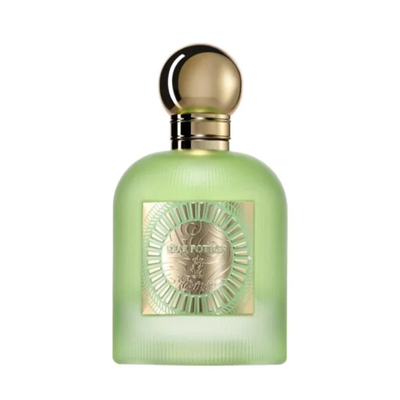 Imagen 2 del producto Perfume Paris Corner Emir Pear Potion EDP 100 ml