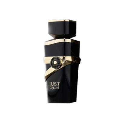 Imagen 2 del producto Perfume Fragrance World Just EDP 100 ml Hombre