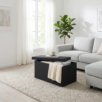 Imagen 2 del producto Ba l Organizadora Plegable con Tapa 76X38 cm