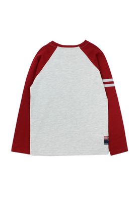 Imagen 2 del producto Polera kids niño manga raglan academy 225