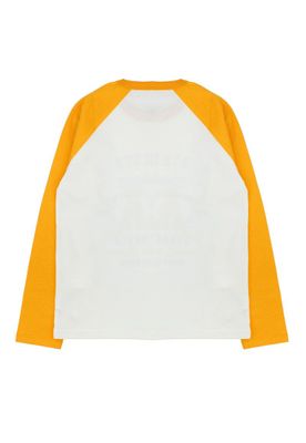 Imagen 2 del producto Polera junior niño manga raglan academy 325b