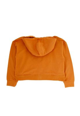 Imagen 2 del producto Poleron junior niña craft 394