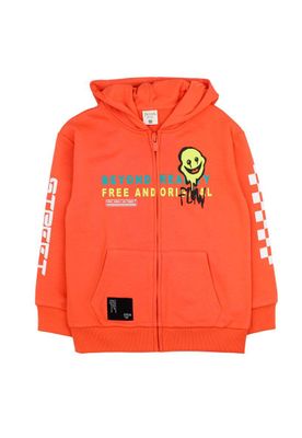 Imagen 2 del producto Poleron kids niño go 249