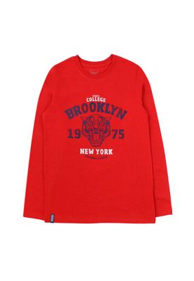 Imagen 1 del producto Polera junior niño day to day 752v