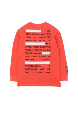 Imagen 2 del producto Polera kids niño move 233b