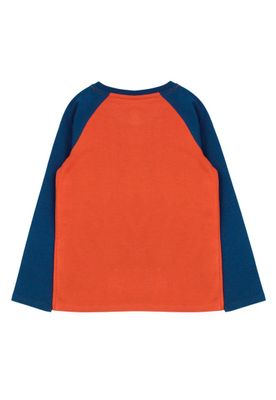 Imagen 2 del producto Polera kids niño manga raglan foresta 231b