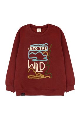 Imagen 1 del producto Polerón kids niño cerrado adventure 244