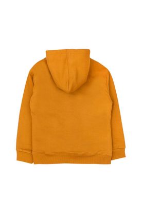 Imagen 2 del producto Polerón kids niño forro piel foresta 244