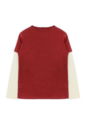 Imagen 2 del producto Polera kids niño doble manga foresta 229