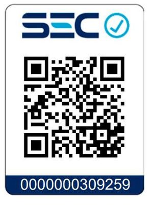 Imagen 2 del producto Campana Rein SCH 60 cm