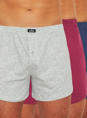 Pack 3 Boxer Holgado Jersey Palmers P3110l90