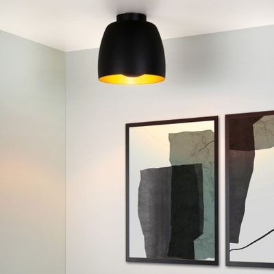 Imagen 2 del producto Lámpara de Techo Nolan 1xE27 Negro