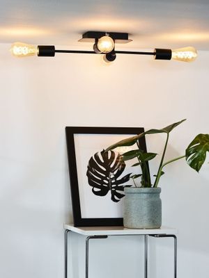 Imagen 2 del producto Plafón Lester