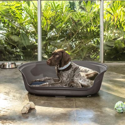 Imagen 2 del producto Cama de Mascota Plastico con Cojin Café 77x54x23 cm Rimax