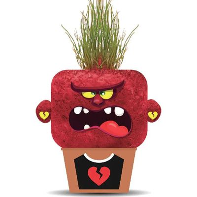 Plant Pals - Angry Annie Hape