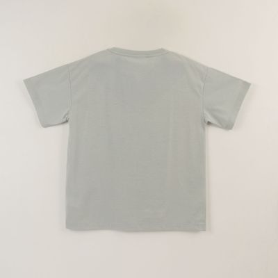 Imagen 2 del producto Polera Manga Corta Niño Gris Logo Hot Wheels