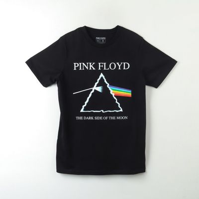 Polera Manga Corta Hombre The Dark Side Negro Pink Floyd