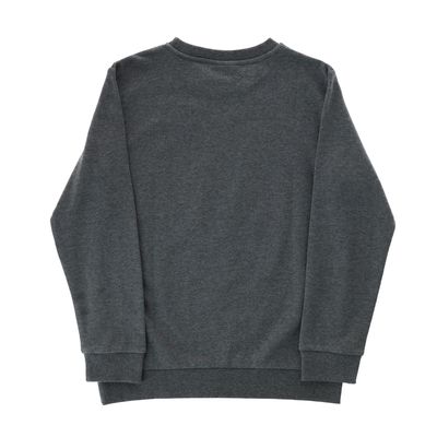 Imagen 2 del producto Poleron Cerrado Niño Worldtour Gris AC/DC