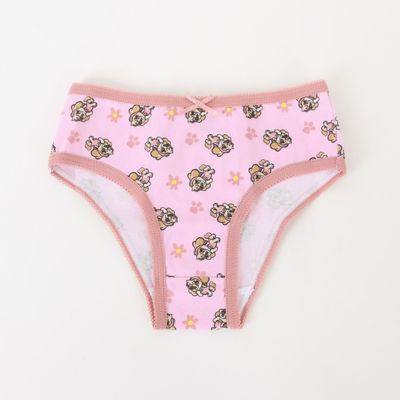 Imagen 2 del producto Tripack Calzón Niña Rosado Full Print Skye Paw Patrol