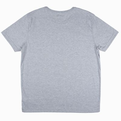 Imagen 2 del producto Polera Hombre House Pride Gris Harry Potter