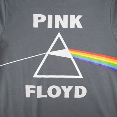 Imagen 2 del producto Polera Mujer Pink Floyd Prisma Gris