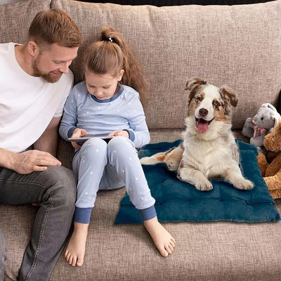 Imagen 2 del producto Cama para mascotas perro y gatos 68x50x40 Azul