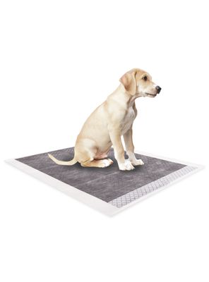 100 Sabanillas De Carbono 45x60cm Perros Mascotas Petwoow