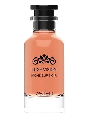 PERFUME ASTEN LUXE VISION MONSIEUR NOIR EDP 100ML