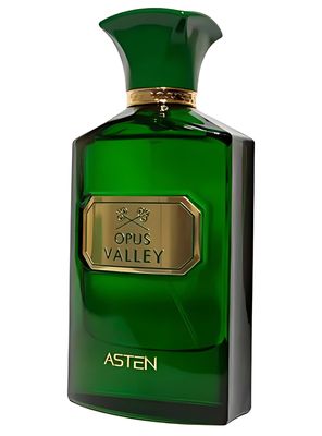 Imagen 2 del producto PERFUME  ASTEN OPUS VALLEY EDP 100ML