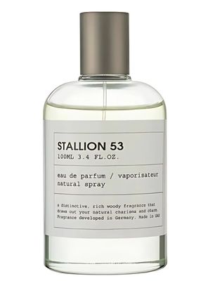 PERFUME EMPER STALLION 53 EDP 100ML