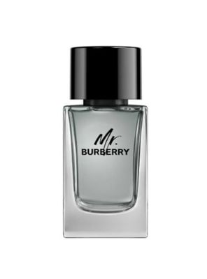 Imagen 2 del producto PERFUME MR BURBERRY EDP 100ML