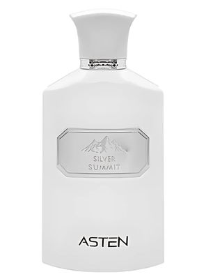 PERFUME  ASTEN SILVER SUMMIT EDP 100ML