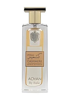 Imagen 2 del producto PERFUME  ADYAN POSH CASHMERE EXTRAIT DE PARFUM 60ML