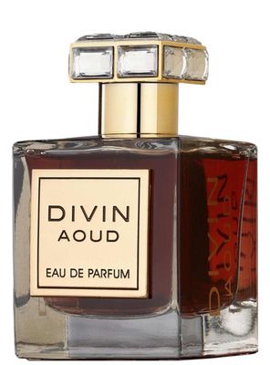 Imagen 2 del producto PERFUME FRENCH AVENUE DIVIN AOUD EDP 100ML