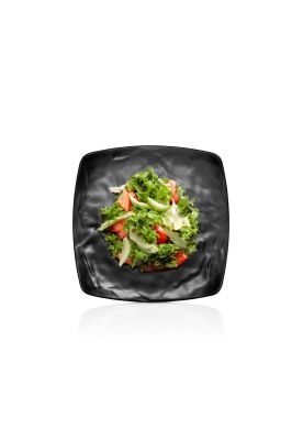 Imagen 2 del producto PLATO MELAMINA CUADRADO NEGRA 21.5 X 21.5 CM LINEA CARRE