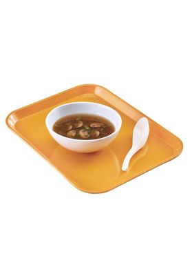 Imagen 2 del producto Bandeja Fibra De Vidrio Toscany Gold