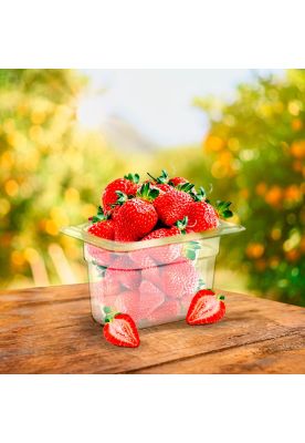 Imagen 2 del producto CONTENEDOR POLICARBONATO TRANSPARENTE 1/9x10 cms