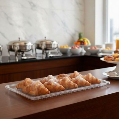 Imagen 2 del producto BANDEJA 1/1 PARA DOMO GASTRONOMICA PC