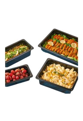 Imagen 2 del producto CONTENEDOR POLICARBONATO NEGRO GN 1/1x10 cm