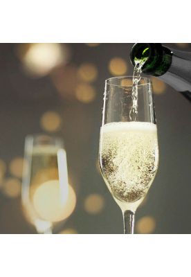 Imagen 2 del producto DISPLAY 6 COPAS CHAMP 190 ML. BARONE 