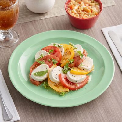 Imagen 2 del producto SET DE 6 PLATO DE ALMUERZO MELAMINA VERDE 23 CM.