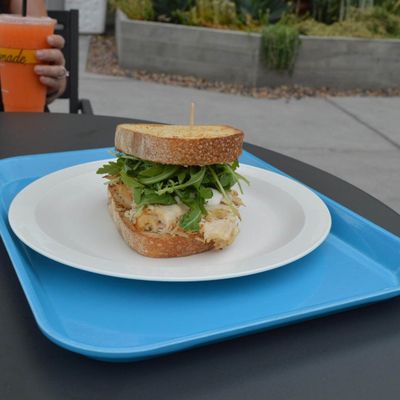 Imagen 2 del producto BANDEJA FIBRA DE VIDRIO 30X40 AZUL HORIZONTE