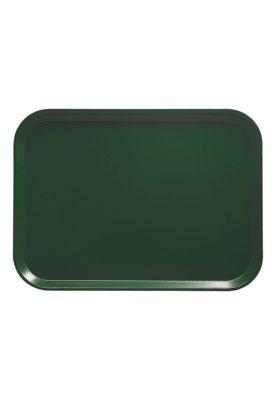 Imagen 2 del producto Bandeja Fibra De Vidrio Verde