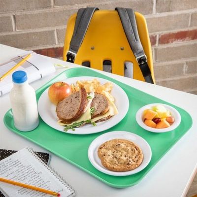 Imagen 2 del producto BANDEJA FIBRA DE VIDRIO 35X45 CM VERDE