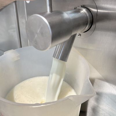 Imagen 2 del producto PASTEURIZADOR PASTO 70L MODELO PAS-70 GELATEK