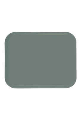 Imagen 2 del producto Bandeja Fibra Vidrio Color Gris 30 X 40 Cm