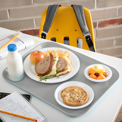 Imagen 2 del producto BANDEJA FIBRA DE VIDRIO 35 x 45 CM GRIS