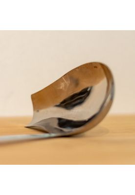 Imagen 2 del producto CUCHARON DE BUFFET CON BOQUILLA 31CM STORM